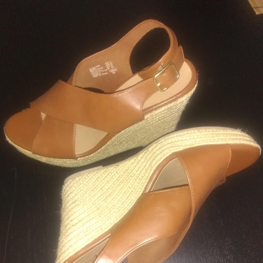 American Eagle Wedges